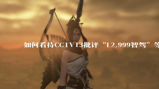 如何看待CCTV13批评“L2.999智驾”等误导性宣传，若导致事故车企可能需要担责？