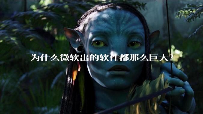 为什么微软出的软件都那么巨大？